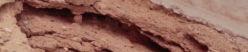 What is Damp Proofing What is Damp Proofing